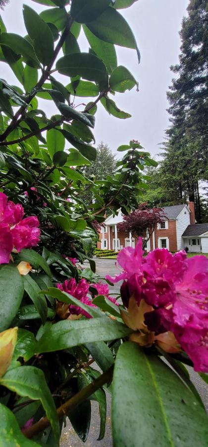 Shiraz Boutique B&B Crescent City Dış mekan fotoğraf